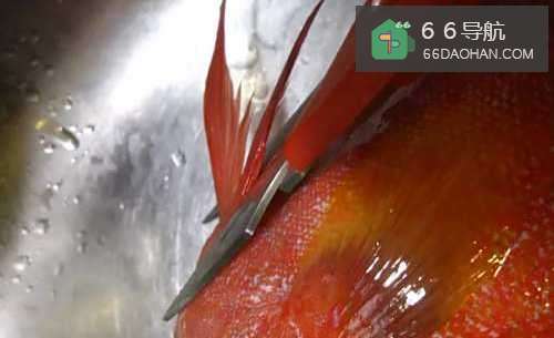 怎么样处理出家常菜系列之清蒸柠檬鱼