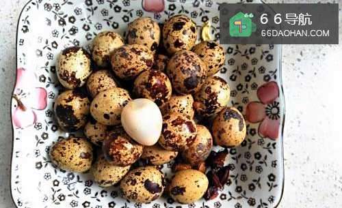 怎么样卤五香鹌鹑蛋