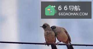 丈夫邋遢的由来