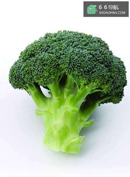 简单的西兰花烩虾仁——营养家常菜必备