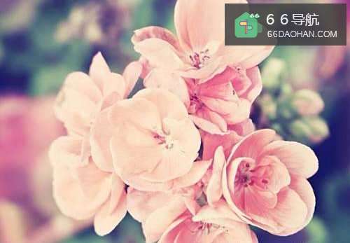 怎样可以让人梦醒