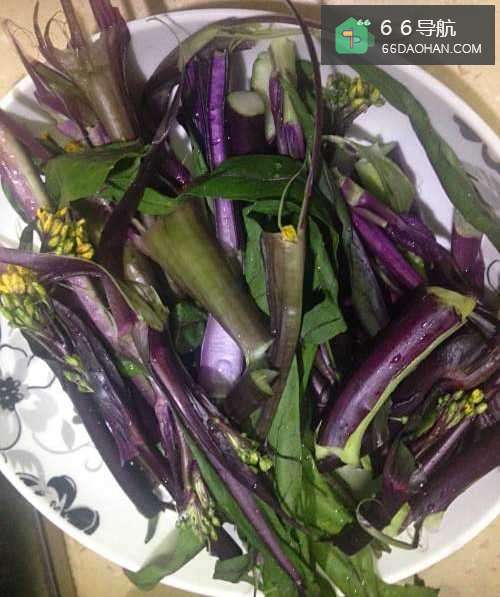 怎么样做酸辣红油菜苔
