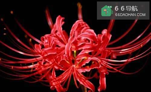 老人独居应该注意啥